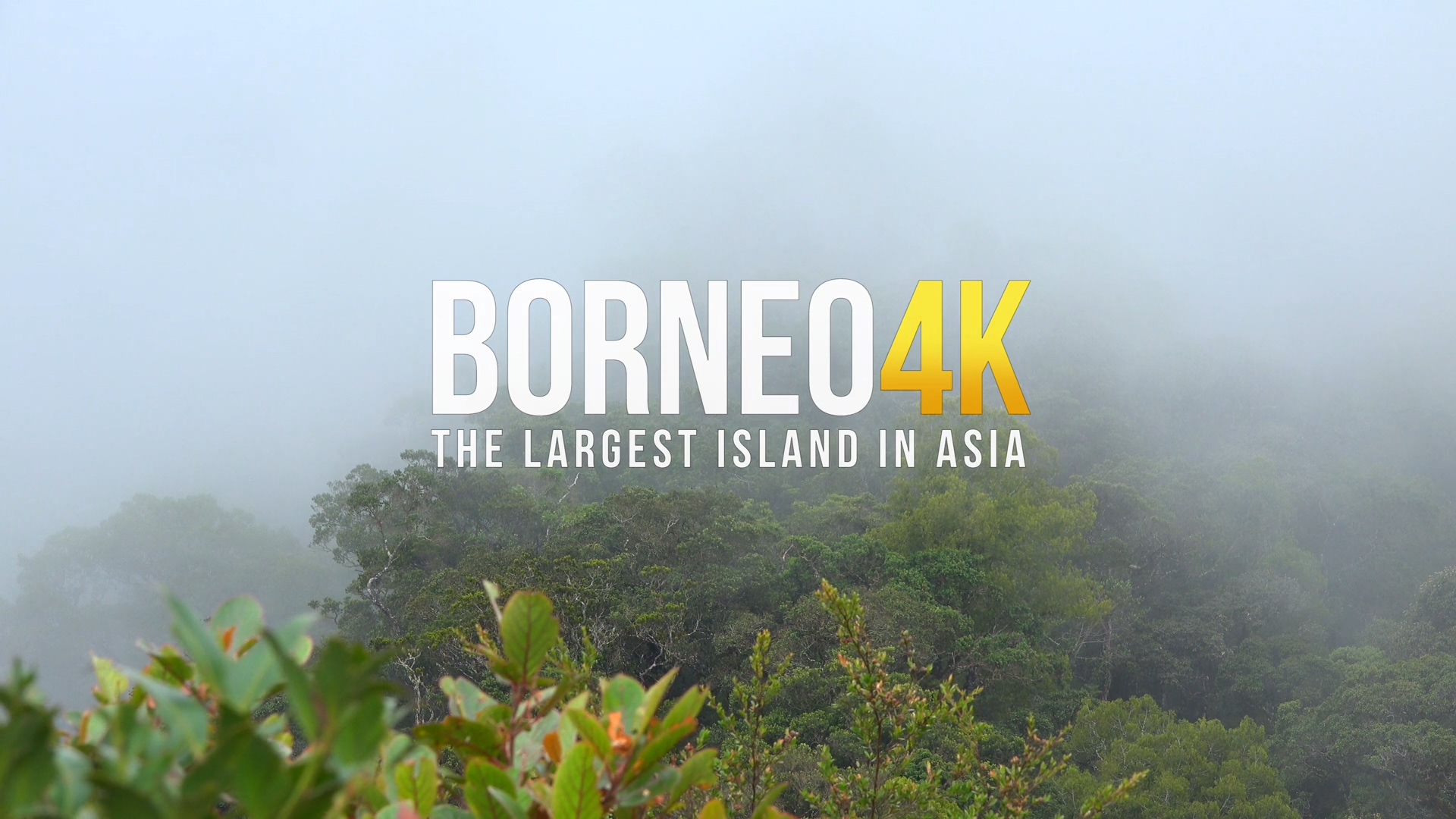 婆罗洲：亚洲的魅力 Borneo The Fascination of Asia.2017 字幕下载