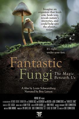 神奇的真菌 Fantastic Fungi.2019 字幕下载
