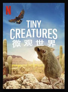 微观世界 Tiny Creatures.2020 字幕下载