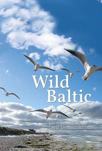 野性波罗的海 Wild Baltic.2014 字幕下载