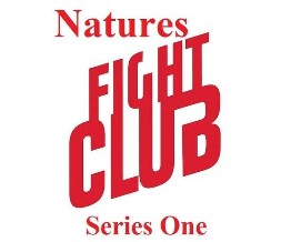 Natures Fight Club: Series 1 .2021 字幕下载