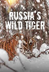 俄罗斯野生老虎 Russia's Wild Tiger.2022 字幕下载