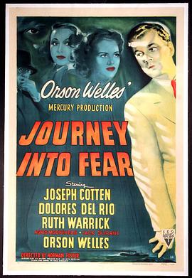 长夜漫漫路迢迢 Journey Into Fear.1943 字幕下载
