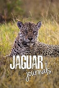 Jaguar Journals .2024 字幕下载