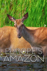 欧洲的亚马逊 Europe's Amazon.2025 字幕下载