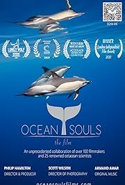 海洋之魂 Ocean Souls.2020 字幕下载
