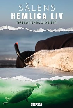 The Secret Life of Seals .2022 字幕下载