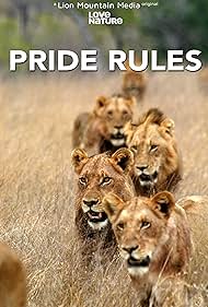 至尊法则 Pride Rules.2025 字幕下载