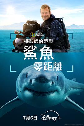 摄影师贝尔蒂与鲨鱼零距离 Sharks Up Close With Bertie Gregory.2025 字幕下载