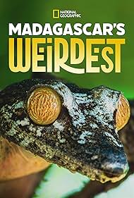 马达加斯加奇境 Madagascar Weirdest.2020 字幕下载