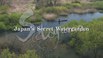 BBC 自然世界 里山：日本神秘水上花园 BBC Natural World Satoyama Japan's Secret Watergarden.2008 字幕下载