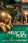 新飞越情海 Melrose Place.2009 字幕下载