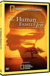 2009年国家地理杂志专题 人类基因树 The Human Family Tree.2009 字幕下载