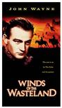 荒地之风 Winds of the Wasteland.1936 字幕下载