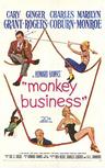 妙药春情 Monkey Business.1952 字幕下载