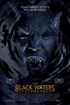 古池黑水 The Black Waters of Echo's Pond.2009 字幕下载