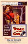雪山恨 Track of the Cat.1954 字幕下载