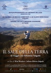 地球之盐 The Salt of the Earth.2014 字幕下载