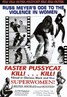 小野猫公路历险记 Faster, Pussycat! Kill! Kill!.1965 字幕下载