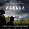 维龙加 Virunga.2014 字幕下载