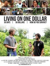 一块钱过活 Living on One Dollar.2013 字幕下载