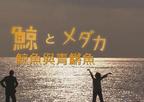 鲸鱼与青鳉鱼 鯨とメダカ.2008 字幕下载