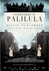 帕利路拉某处 Undeva la Palilula.2012 字幕下载