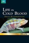 冷血生命 Life In Cold Blood.2008 字幕下载