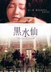 黑水仙 흑수선,The Last Witness.2001 字幕下载