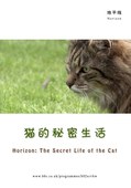 猫的秘密生活 Horizon: The Secret Life of the Cat.2013 字幕下载