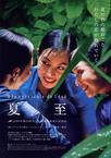 夏天的滋味 Mùa hè chiều thẳng đứng.2000 字幕下载