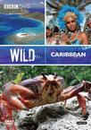 野性加勒比 Wild Caribbean.2007 字幕下载