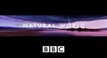 BBC 自然世界 2010 神秘的豹 BBC.Natural.World.2010.The.Secret.Leopards.0 字幕下载