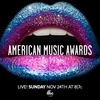 第43届全美音乐大奖 The 43st American Music Awards.2015 字幕下载