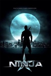 纽约行动 Ninja.2009 字幕下载