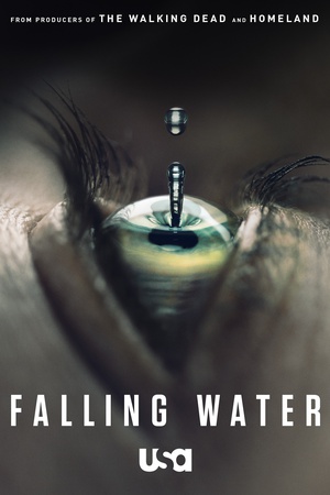 落梦若水 Falling Water.2016 字幕下载