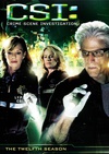 犯罪现场调查 第十二季 CSI: Crime Scene Investigation .2011 字幕下载