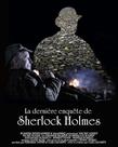 福尔摩斯最后的调查 La dernière enquête de Sherlock Holmes.2010 字幕下载