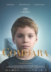 宝藏 Comoara.2015 字幕下载
