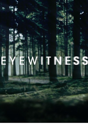 目击证人 Eyewitness.2016 字幕下载