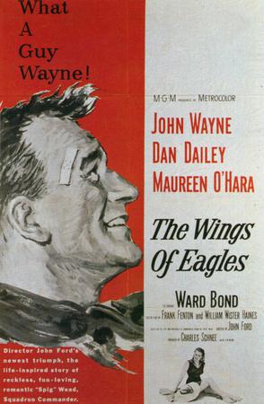 碧血溅长空 The Wings of Eagles.1957 字幕下载