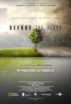 洪水泛滥之前 Before the Flood.2016 字幕下载