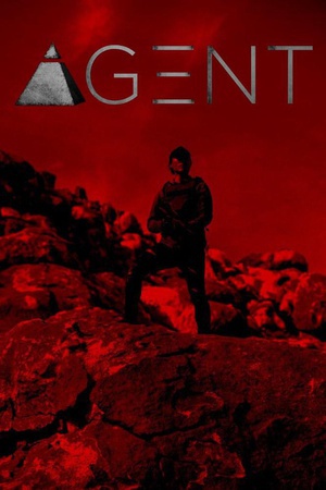 代理人 Agent.2017 字幕下载