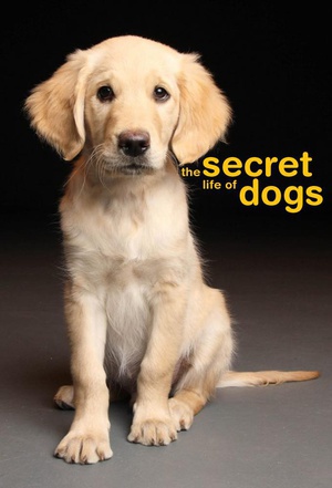 狗的秘密生活 Secret Life of Dogs.2013 字幕下载