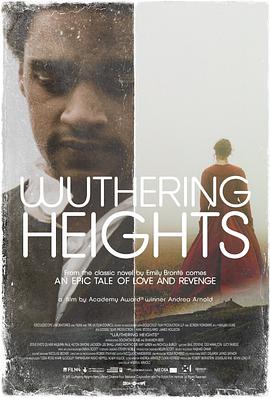 呼啸山庄 Wuthering Heights.2011 字幕下载