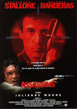 刺客战场 Assassins.1995 字幕下载