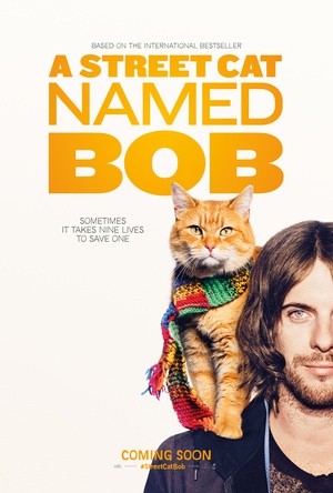 流浪猫鲍勃 A Street Cat Named Bob.2016 字幕下载