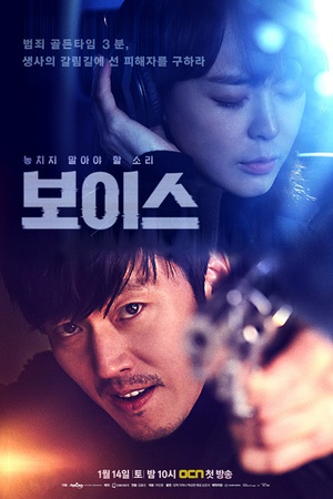 Voice 보이스.2017 字幕下载