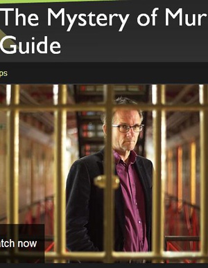 BBC地平线：谋杀之谜 The Mystery of Murder: A Horizon Guide.2015 字幕下载
