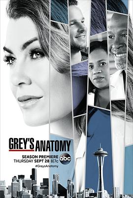 实习医生格蕾 第十四季 Grey's Anatomy.2017 字幕下载
